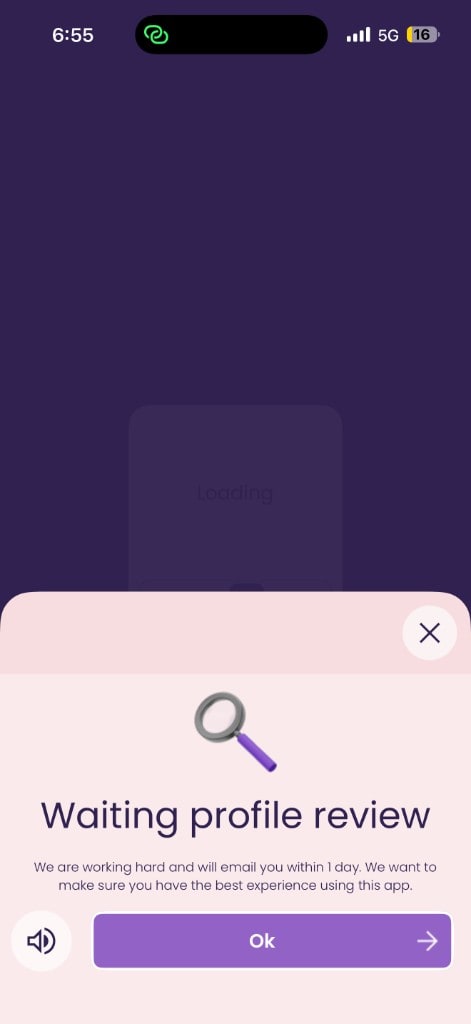 The app's Waiting profile review screen, explaining that every profile is checked before approval